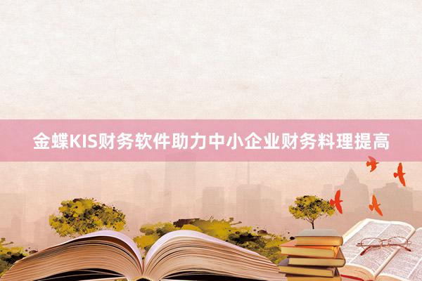 金蝶KIS财务软件助力中小企业财务料理提高